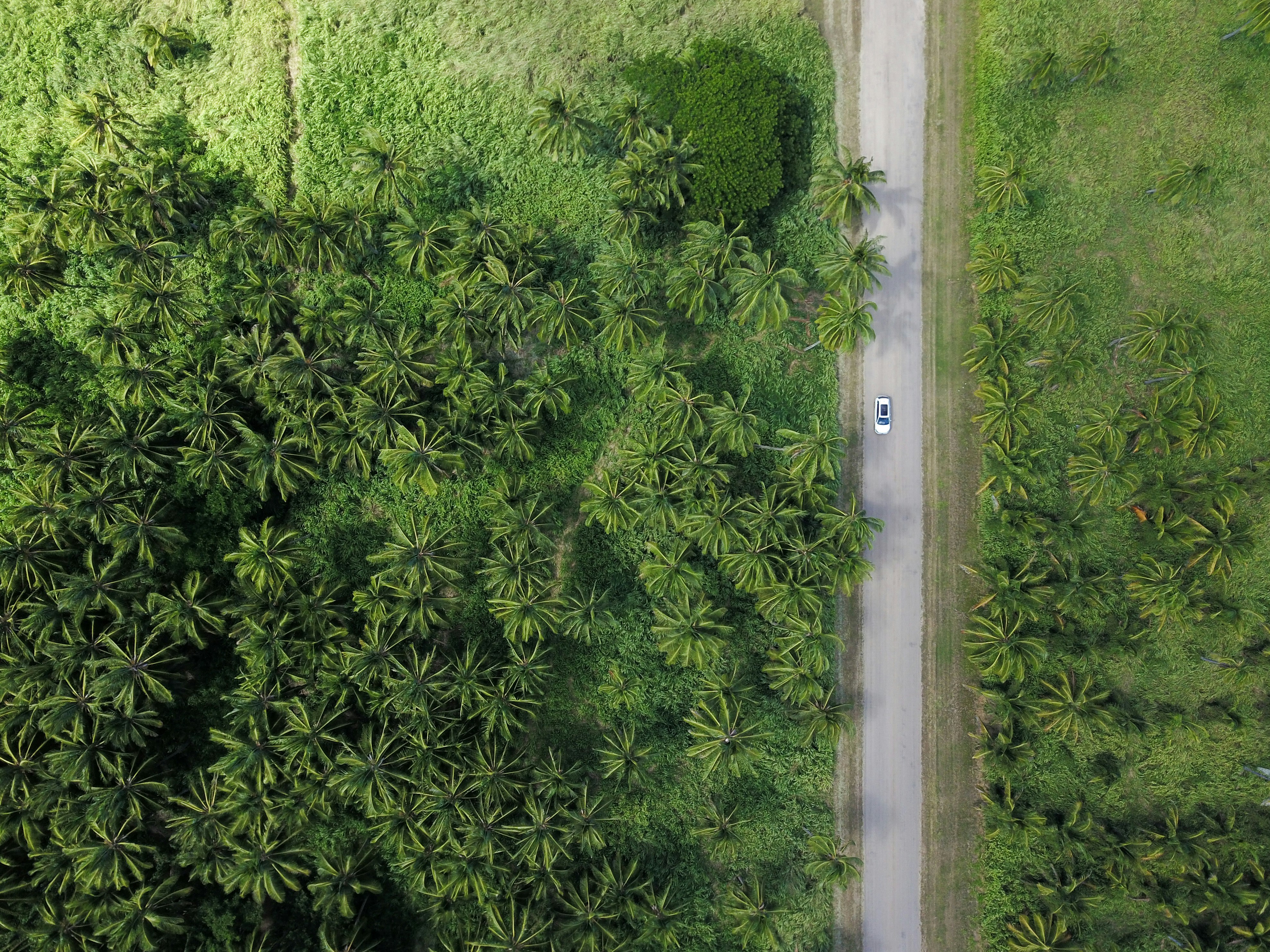 Driver on a scenic road